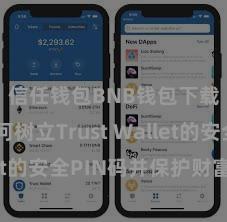 信任钱包BNB钱包下载 若何树立Trust Wallet的安全PIN码并保护财富安全？